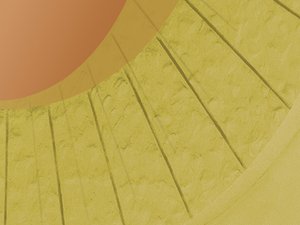 学习对抗训练的最短路径是什么